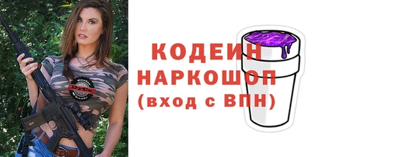 apvp Каменногорск