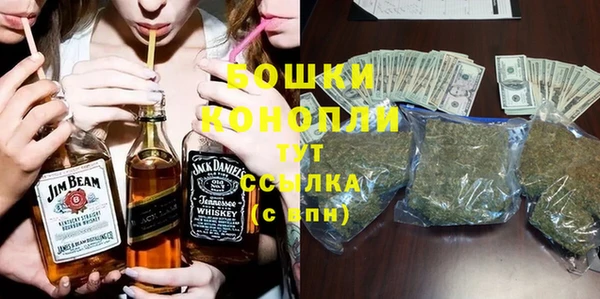 ECSTASY Каменка