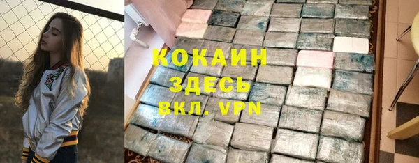 apvp Каменногорск