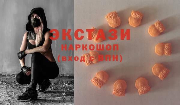 ECSTASY Каменка