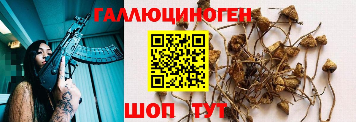 Псилоцибиновые грибы GOLDEN TEACHER Вологда