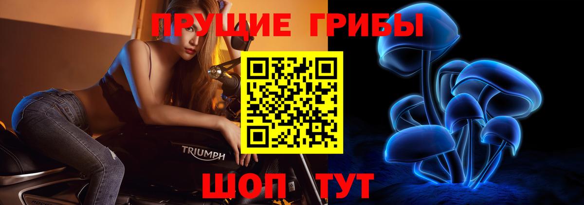Псилоцибиновые грибы Magic Shrooms  Псилоцибиновые грибы прущие грибы  Вход с VPN  Вологда 